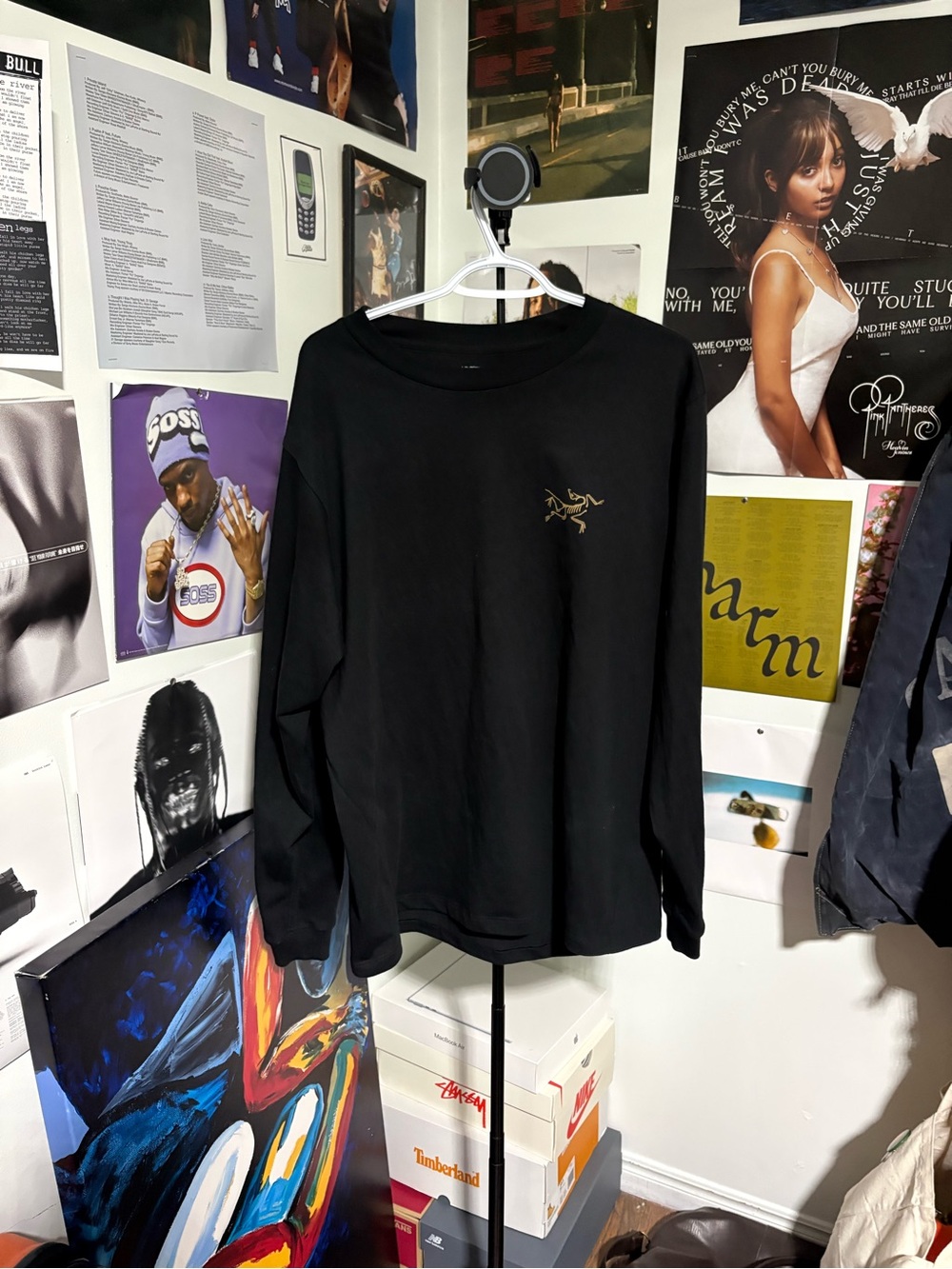 Arc’teryx kragg long sleeve